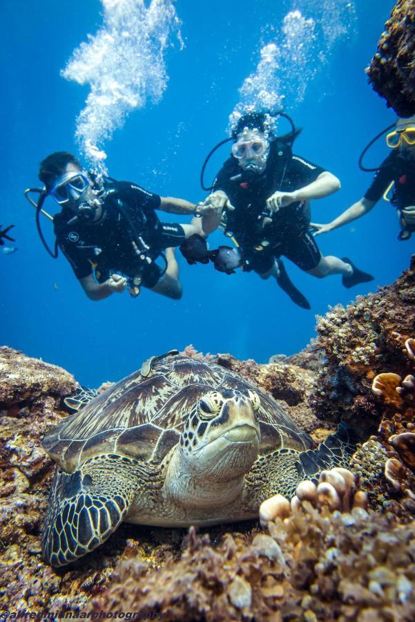 Manta Dive 3* Gili Trawangan